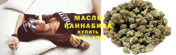 тгк Дмитровск