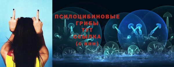 тгк Дмитровск