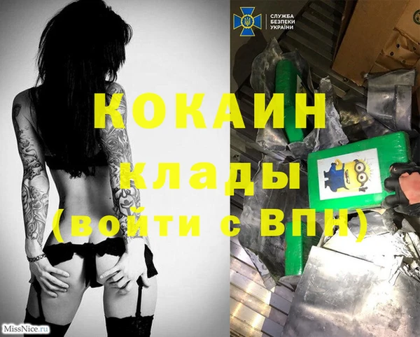 кокаин перу Дмитриев