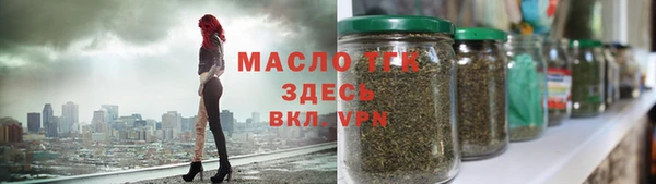 тгк Дмитровск