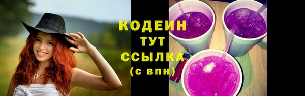 тгк Дмитровск
