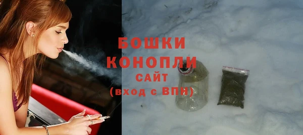 мдпв Дмитров