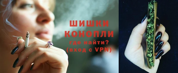 мдпв Дмитров