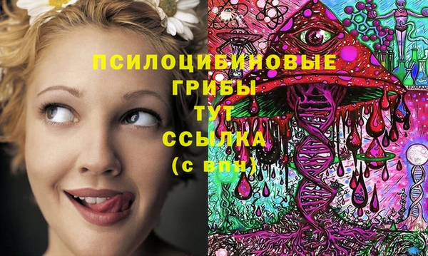 тгк Дмитровск