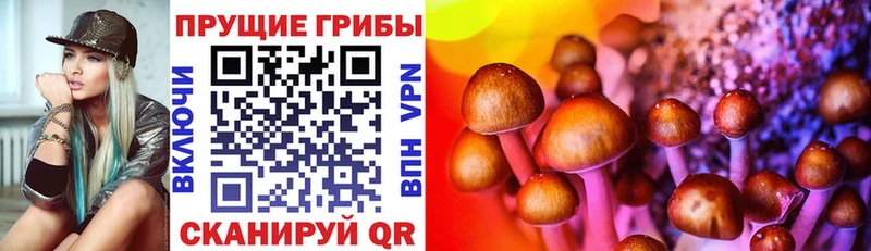 Галлюциногенные грибы Magic Shrooms Купить Кукмор